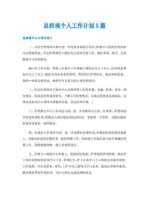 总经理个人工作计划5篇