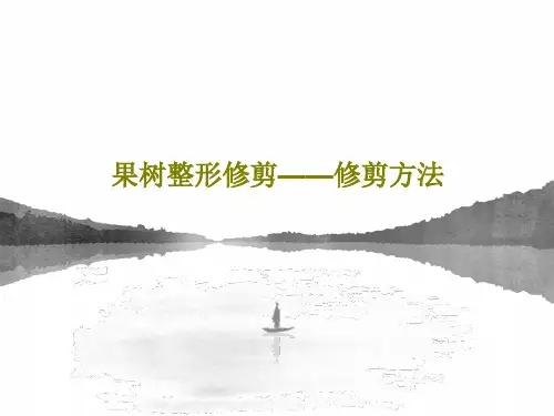 果树整形修剪——修剪方法42页PPT