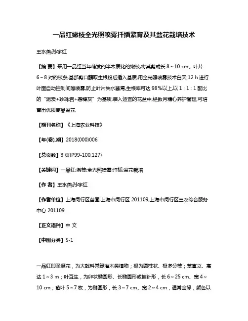 一品红嫩枝全光照喷雾扦插繁育及其盆花栽培技术