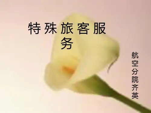特殊旅客服务