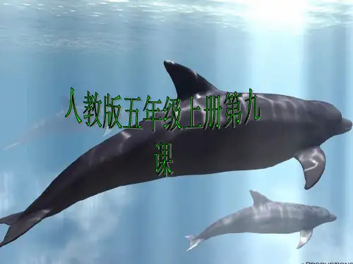 人教版语文五年级上册《鲸》PPT课件