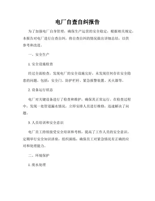 电厂自查自纠报告