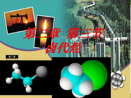 高中化学《卤代烃》PPT 新人教版1