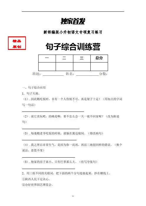 小升初语文句子综合训练专项练习 (4)