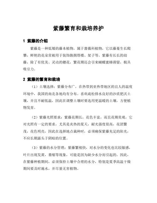 紫藤繁育和栽培养护