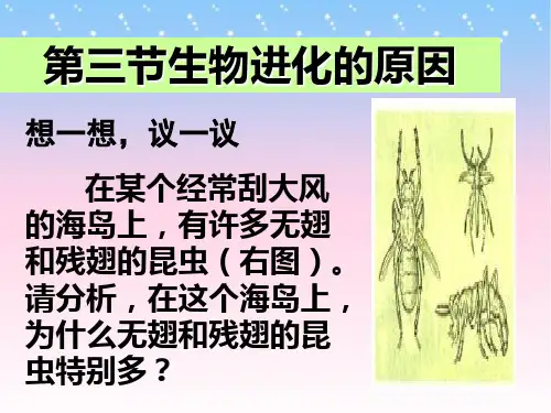 人教版生物八年级下册《生物进化的原因》课件 
