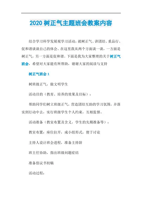2020树正气主题班会教案内容