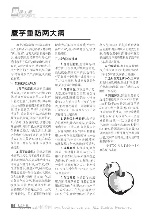魔芋重防两大病