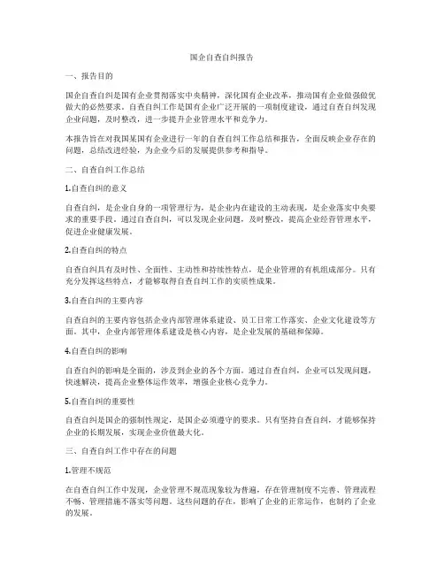 国企自查自纠报告