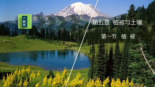 【新教材】人教版高中地理必修1课件：5.1植被(共22张PPT)