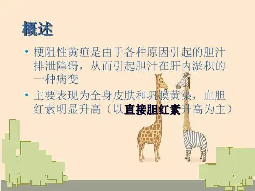 恶性梗阻性黄疸介入治疗及护理讲座