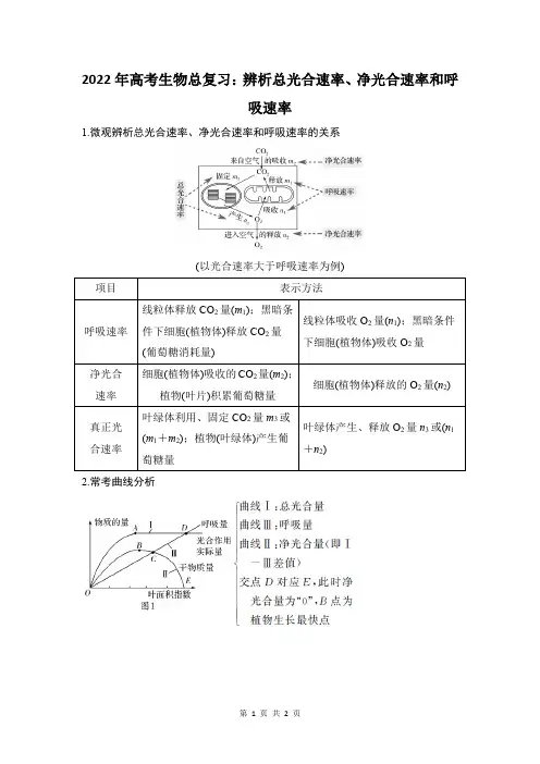 辨析总光合速率、净光合速率和呼吸速率