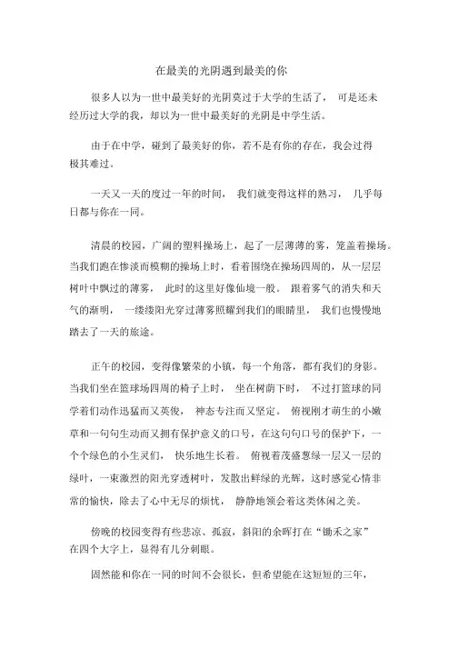 初三作文：在最美的时光遇见最美的你作文500字