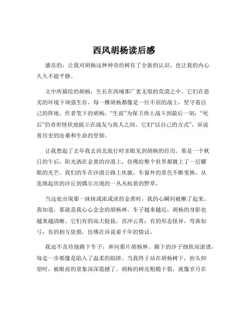西风胡杨读后感