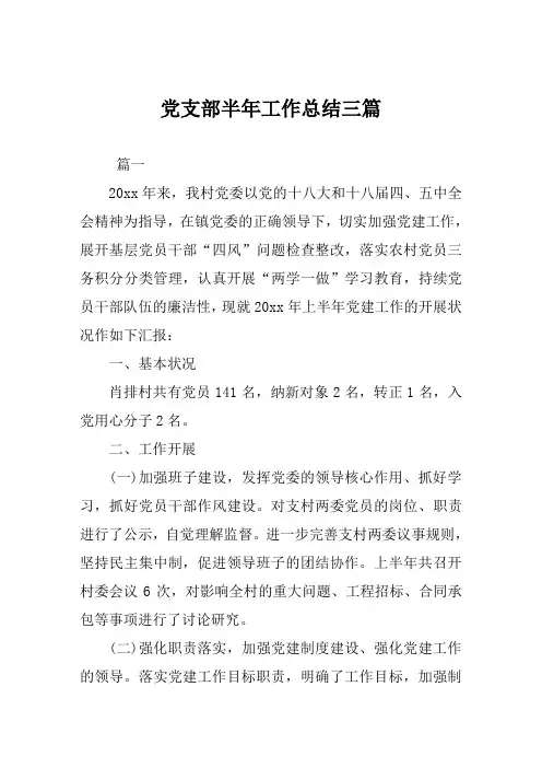 党支部半年工作总结范文三篇