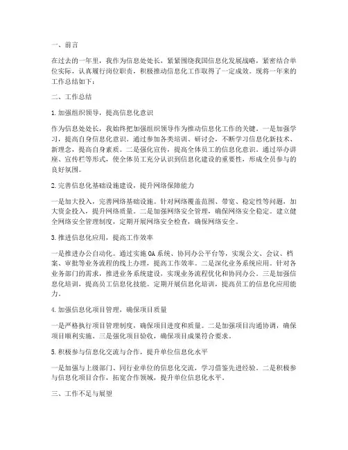 信息处处长个人工作总结
