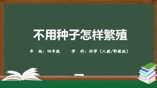 精选最新四年级科学(人教鄂教版)-不用种子怎样繁殖-PPT课件