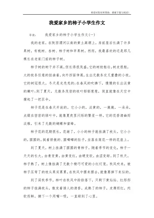 我爱家乡的柿子小学生作文