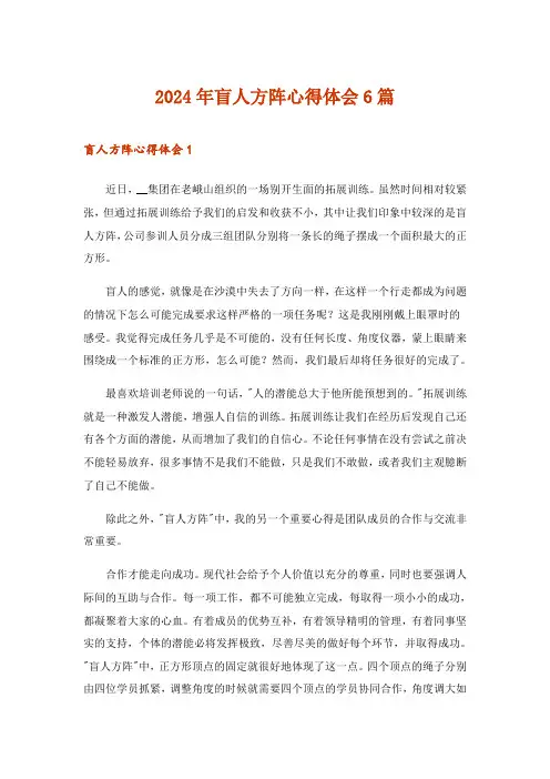 2024年盲人方阵心得体会6篇