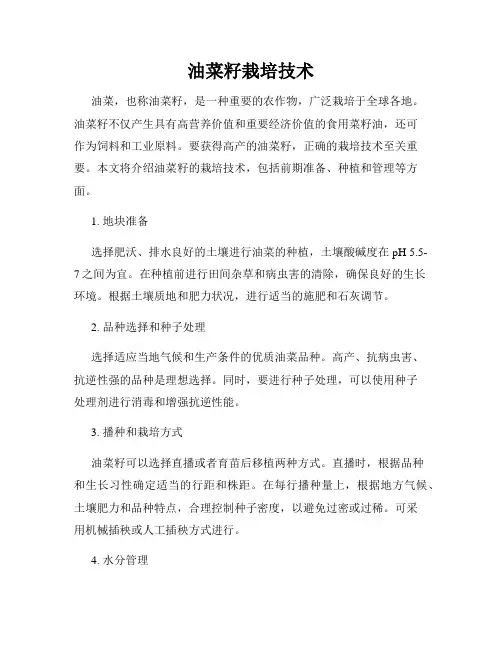 油菜籽栽培技术