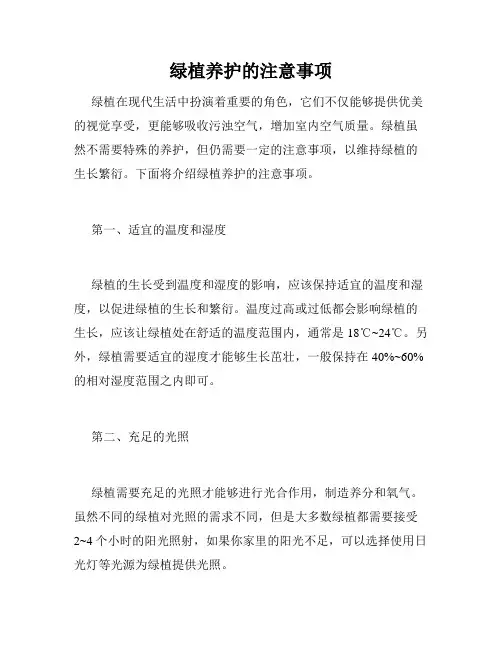 绿植养护的注意事项