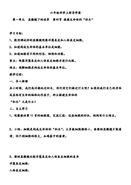 《搭建生命体的“积木”》优秀教案