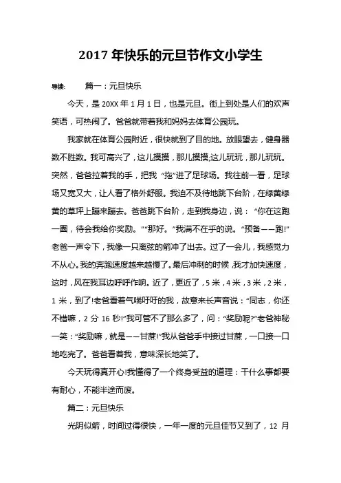 2017年快乐的元旦节作文小学生
