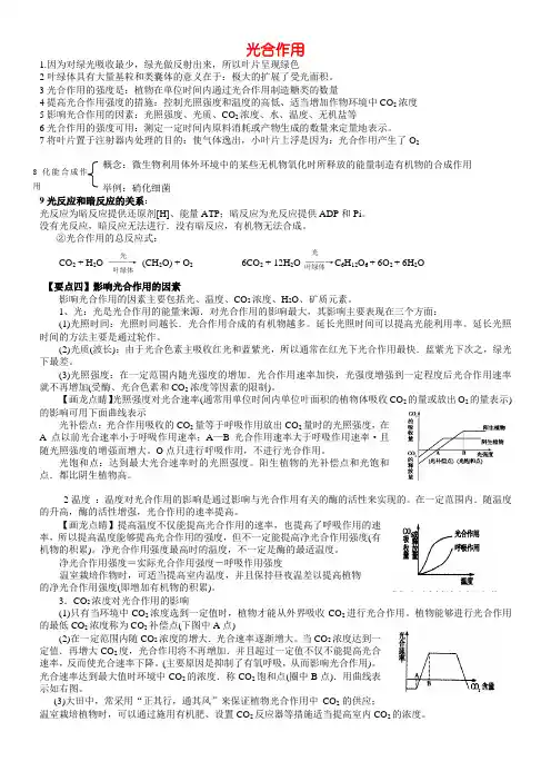 光合作用知识点