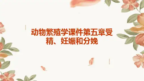 动物繁殖学课件第五章受精、妊娠和分娩
