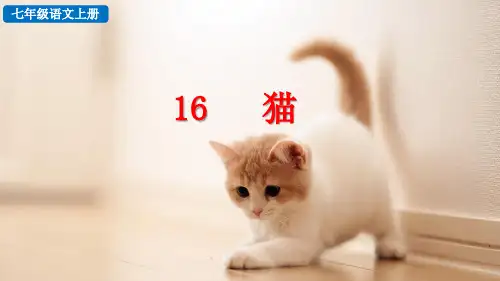 猫部编语文七年级上册PPT课件