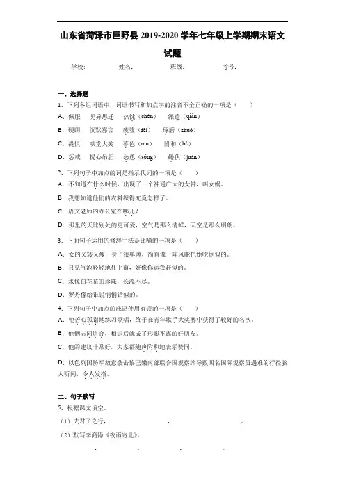 山东省菏泽市巨野县2019~2020学年七年级上学期期末语文试题