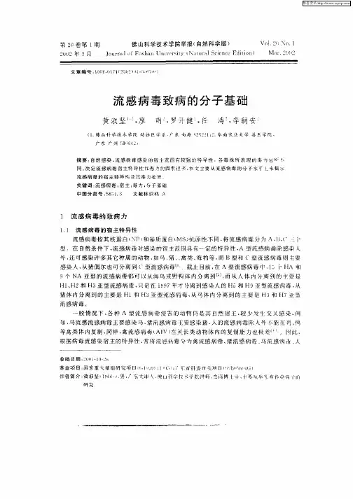 流感病毒致病的分子基础