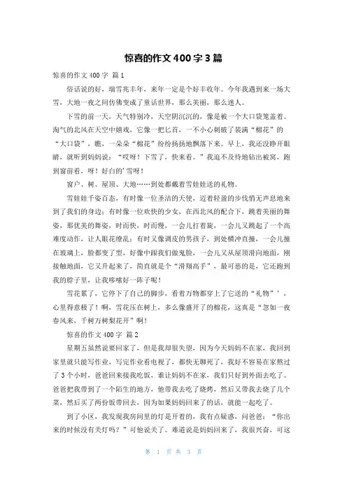 惊喜的作文400字3篇