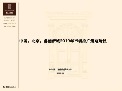 北京鲁能新城2019年市场推广的策略建议-精选文档