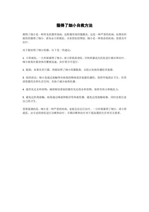 猫得了细小自救方法