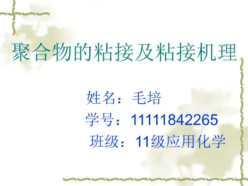 聚合物的粘结及粘结机理