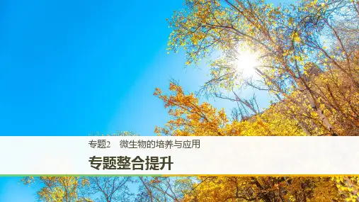 2019_2020学年高二人教版生物选修一课件：专题整合提升：专题2 微生物的培养与应用 