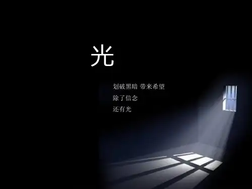 光环境设计调研报告