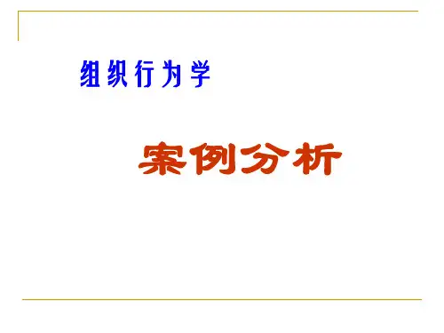 第四章群体心里与群体行为案例(1)