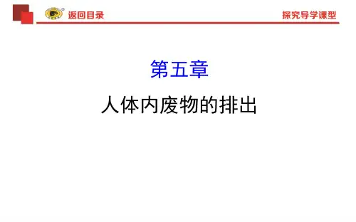 2020版人教版生物七年级下册 4.5  人体内废物的排出