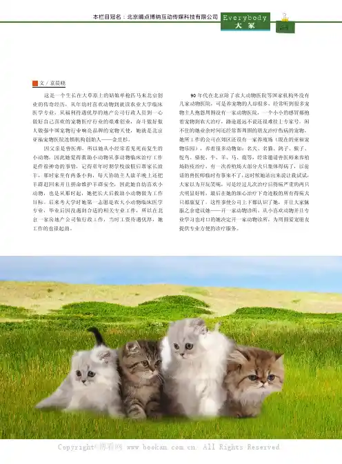 大草原的宠物天使