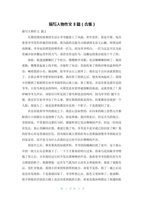 描写人物作文3篇(合集)