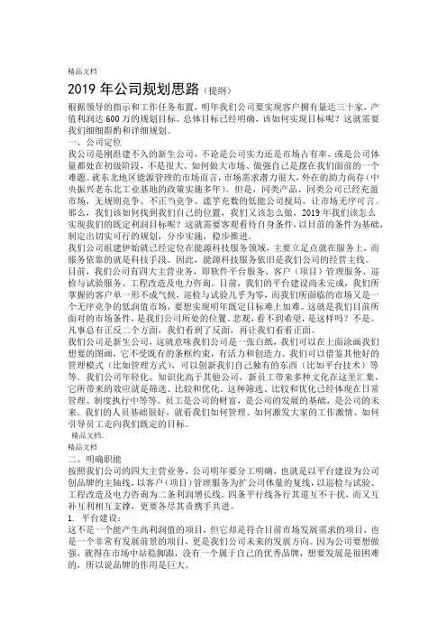 2019年公司规划思路1资料