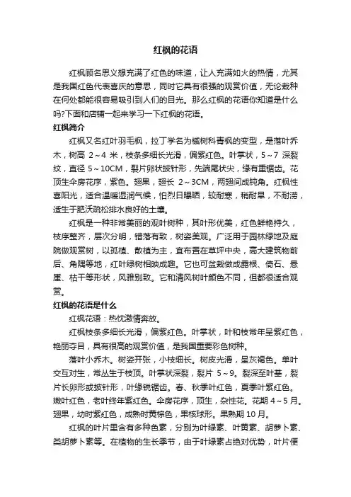 红枫的花语
