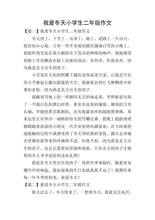 我爱冬天小学生二年级作文