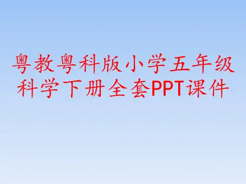 粤教粤科版小学五年级科学下册全套PPT课件