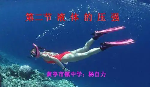 人教版八年级物理下册：9.2 液体压强(共37张PPT)