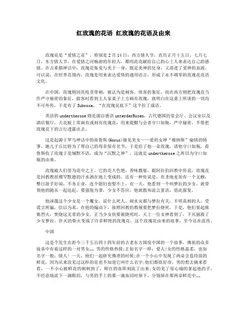 红玫瑰的花语 红玫瑰的花语及由来
