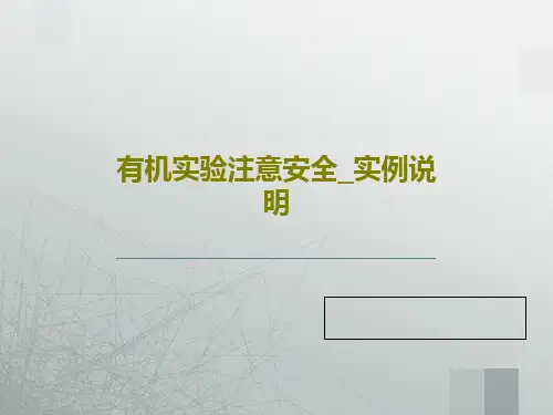 有机实验注意安全_实例说明PPT74页