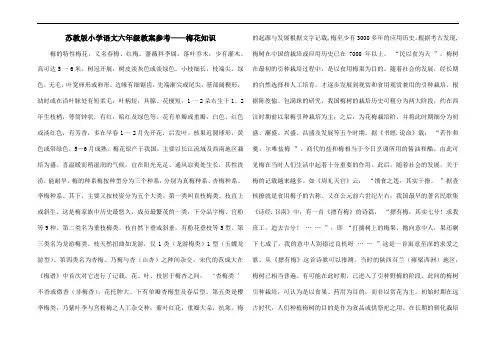 苏教版小学语文六年级教案参考——梅花知识
